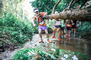 BIB: 
                            <button type="button" onclick="openModal(25468416)" class="btn btn-primary btn-sm float-right btn-popup" data-toggle="modal" data-target=".modal-high-quality">
                        <i class="fas fa-shopping-cart"></i> Add to Cart
                    </button>
                                            <button type="button" onclick="isThisMe(25468416, true)" class="btn btn-success btn-sm float-right btn-popup btn-isme hidden" data-toggle="tooltip" data-placement="bottom" title="นี่คือรูปของคุณใช่ไหม คลิกที่นี่เพื่อเอาเข้าอัลบั้ม">
                        <i class="fas fa-plus"></i> Add to album
                    </button>
                    <button type="button" onclick="isThisMe(25468416, false)" class="btn btn-warning btn-sm float-right btn-popup btn-isnotme hidden">
                        <i class="fas fa-ban"></i> Remove from album
                    </button>